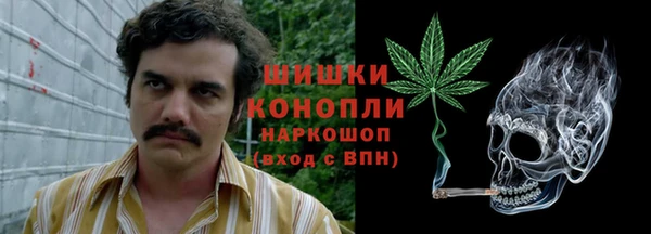 ECSTASY Абаза
