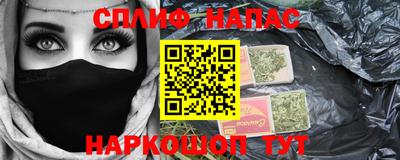 МДПВ Моздок