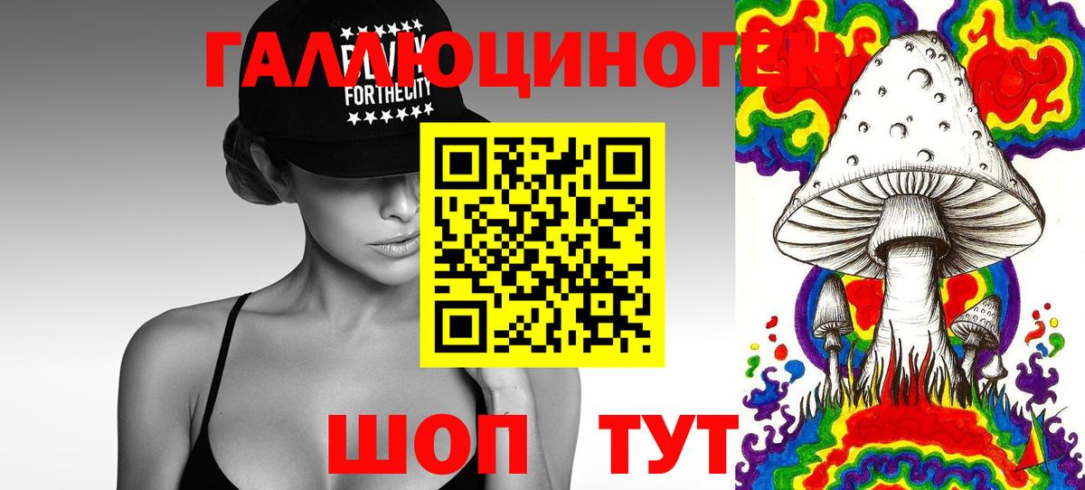 Псилоцибиновые грибы GOLDEN TEACHER  Вход с VPN  Азов  Псилоцибиновые грибы GOLDEN TEACHER 