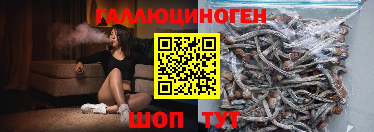 Псилоцибиновые грибы Magic Shrooms Азов